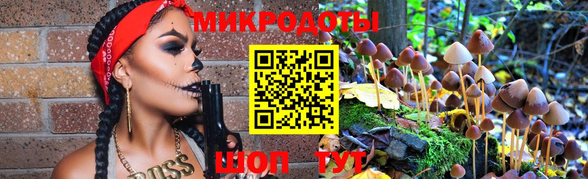 Магадан  Псилоцибиновые грибы Cubensis  Вход с VPN 